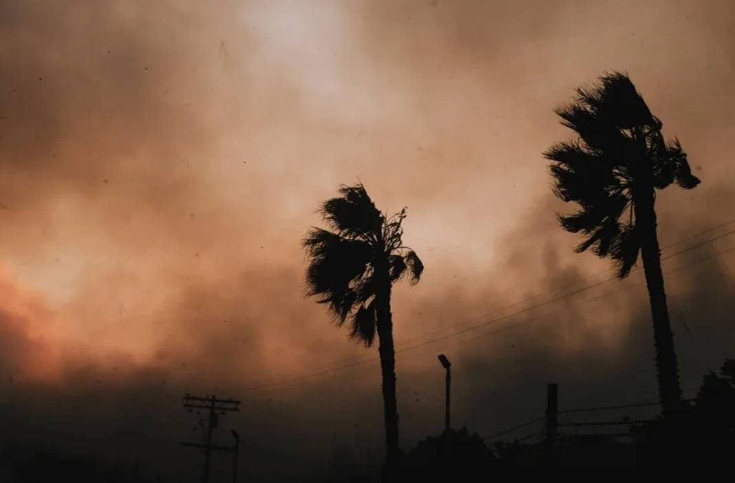 Los Angeles'ta yangın felaketi: Hollywood yıldızlarının yaşadığı bölgede 30 bin kişi tahliye edildi 7